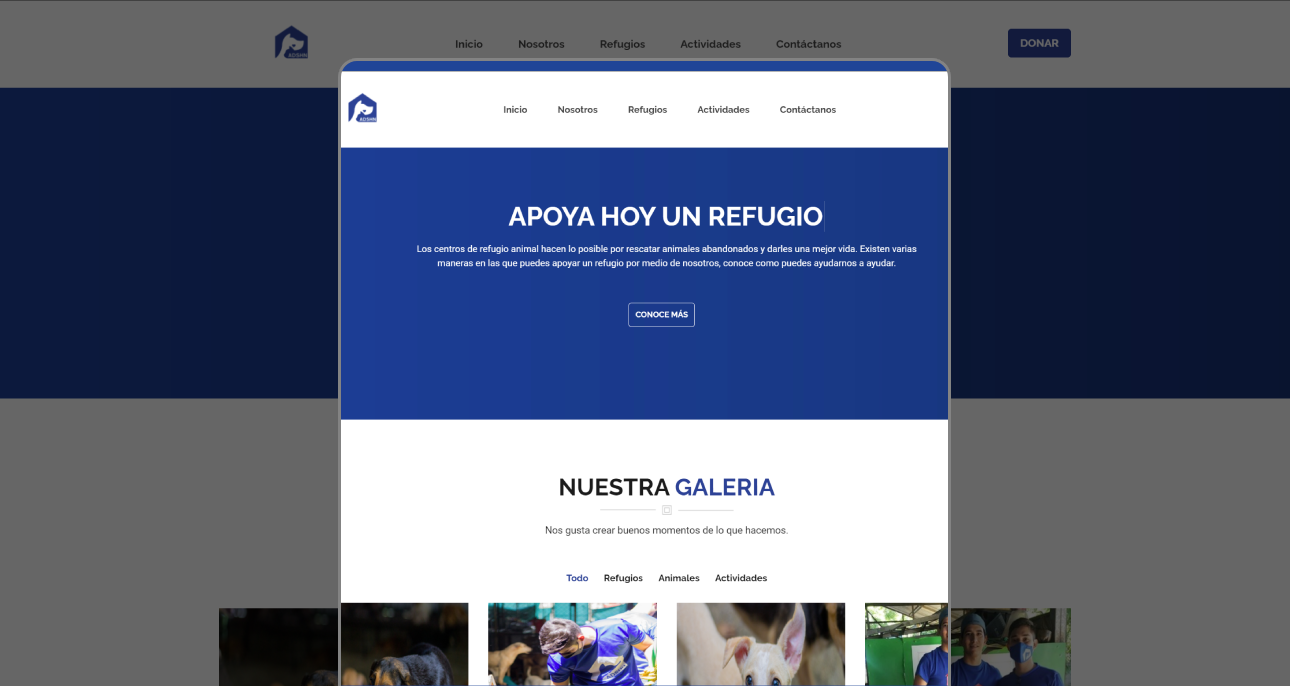 Portfolio